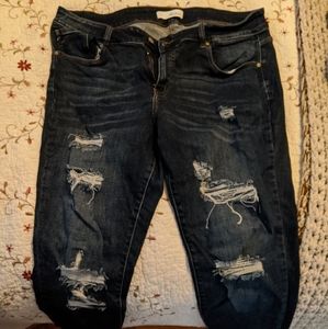 Kankan plus size jeans